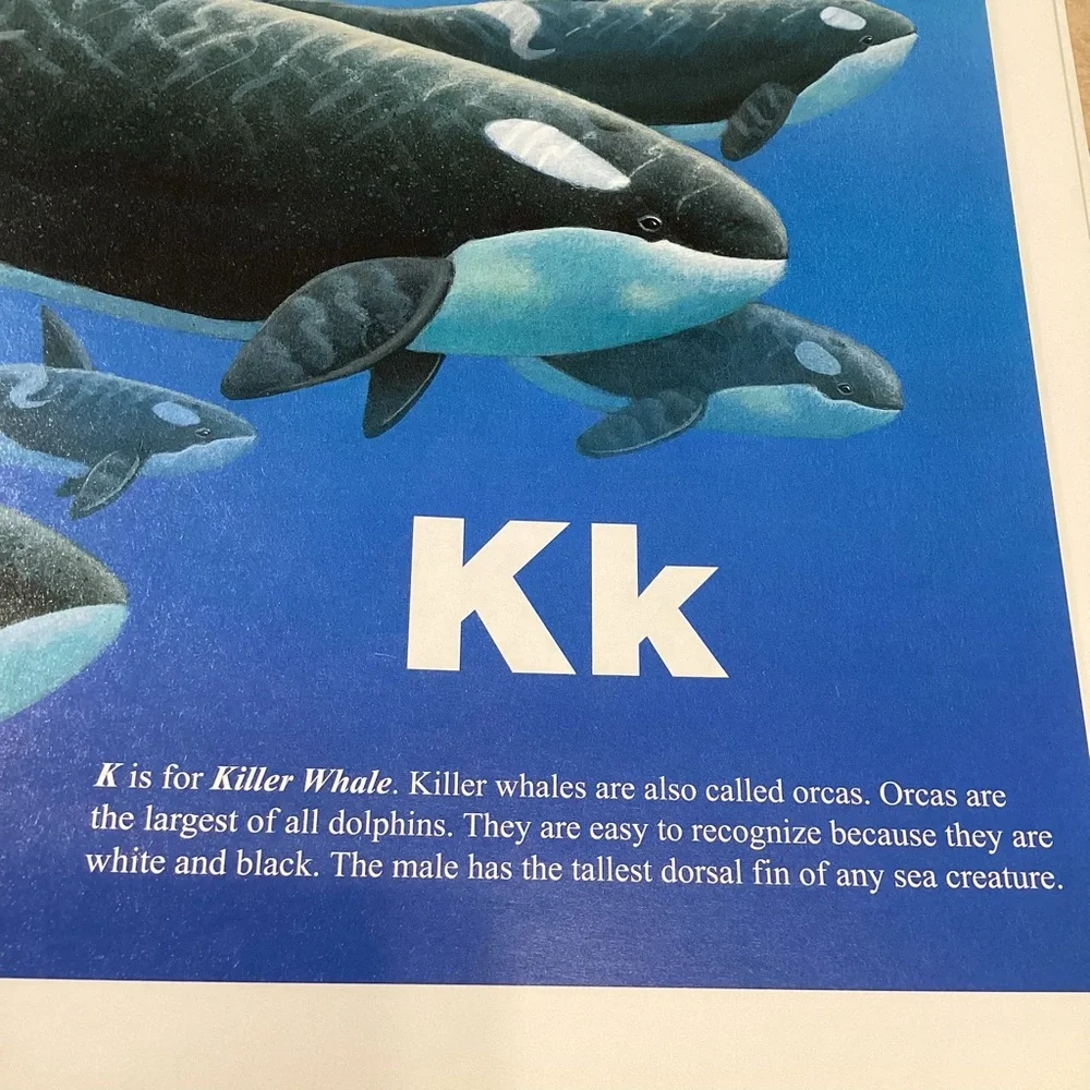N/A scholastic sea